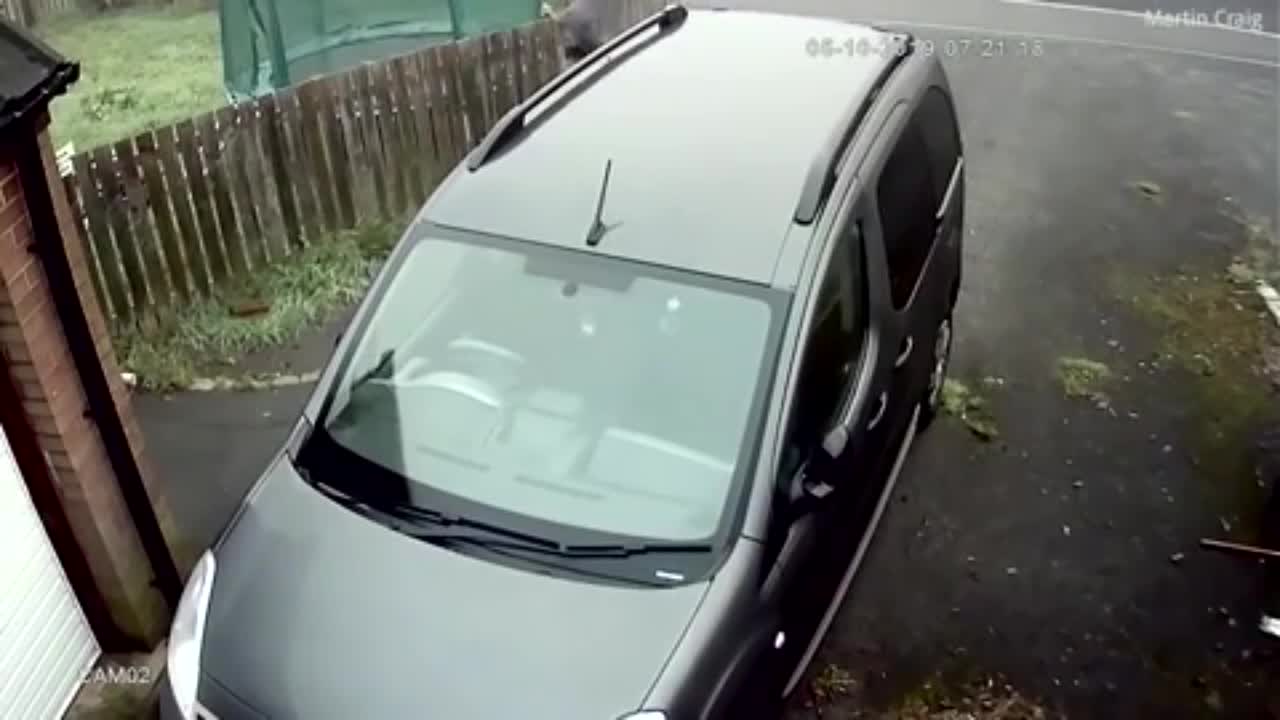 Dans la peau d'un voleur, Régis tente d'exploser la vitre d’une voiture