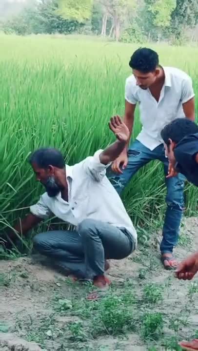 Un homme attrape un serpent dangereux (Inde)