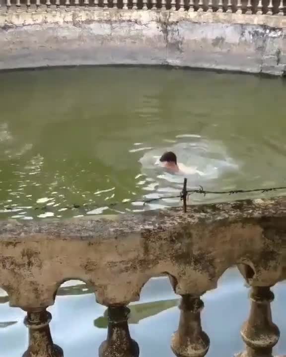 Un homme fait semblant de se noyer devant son chien