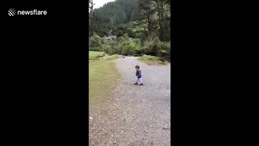 Un bélier charge sur un enfant