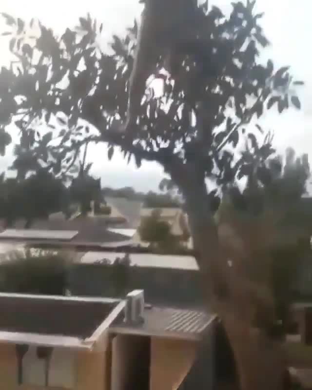 Régis se prend pour Tarzan