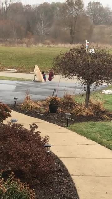 Un chien attend le bus de l'école avec les enfants de la maison