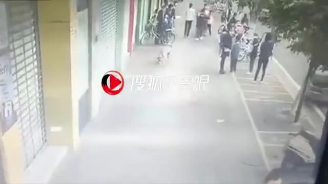 Un automobiliste vole un chien dans la rue (Chine)