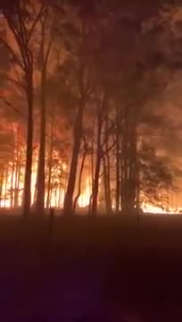 La rapidité de propagation d’un incendie (Australie)