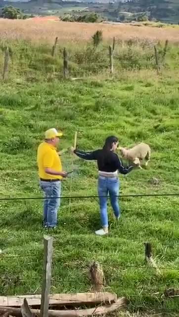 Donner un feu d’artifice à la soeur de Régis