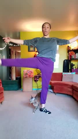 Donner un cours de ballet sur internet, avec son chat (Coronavirus)