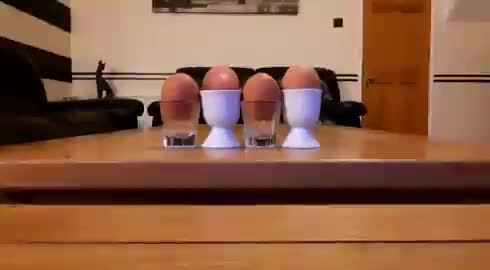 Chanter "I want to break free" avec des oeufs