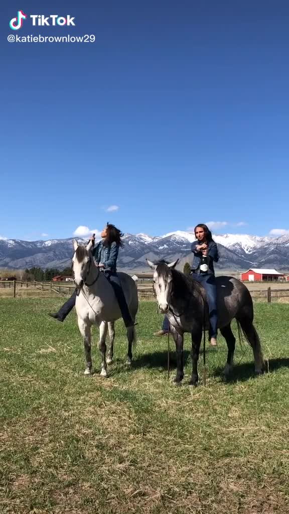 Champagne et cheval ne font pas bon ménage