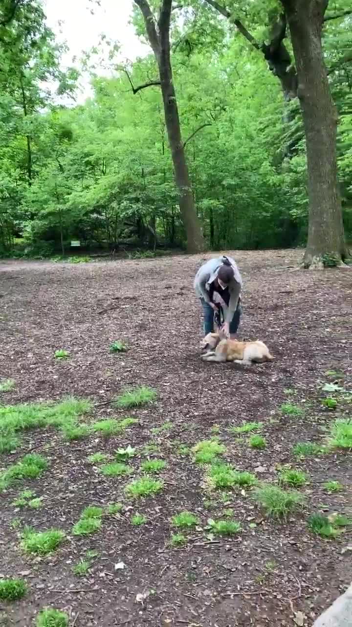On lui lui demande d’attacher son chien, elle appelle la police pour "aggression raciste"