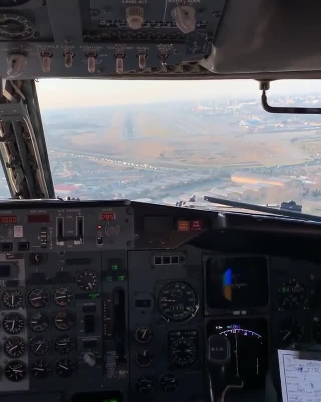 Un Boeing percute un oiseau