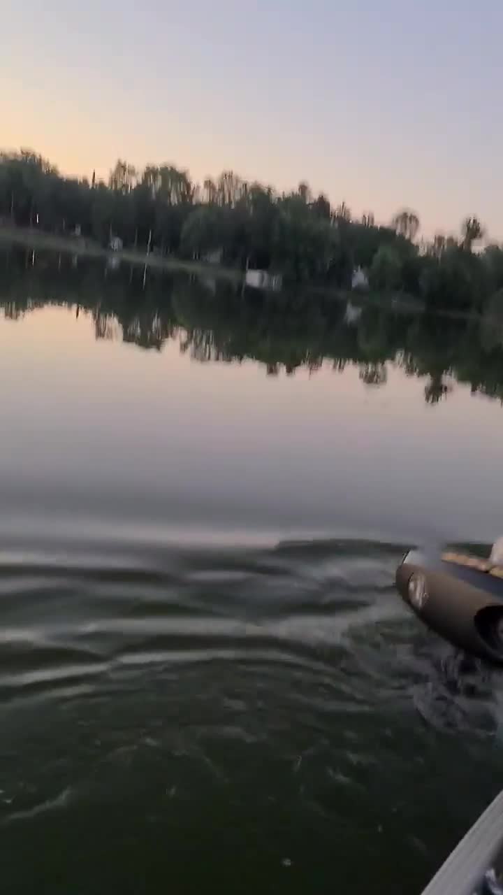 Des pêcheurs trouvent un ours avec la tête coincée dans un bidon en plastique