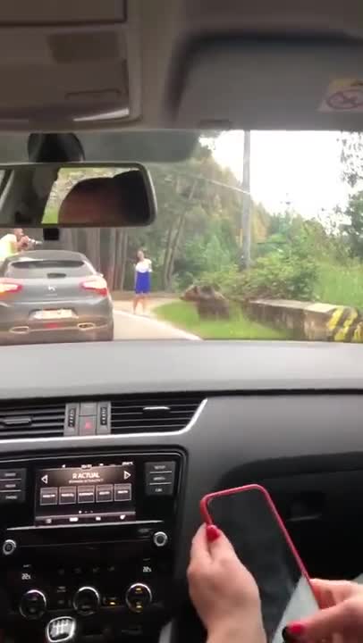 Une russe sort de sa voiture pour se faire prendre en photo avec un ours