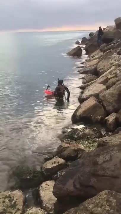 Un plongeur se retrouve avec une pieuvre dans le dos