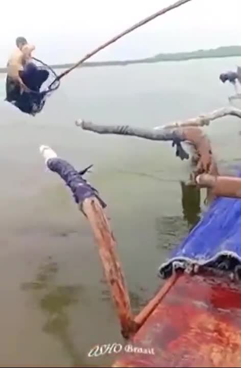 Cet homme a dressé des oiseaux pour pêcher à sa place