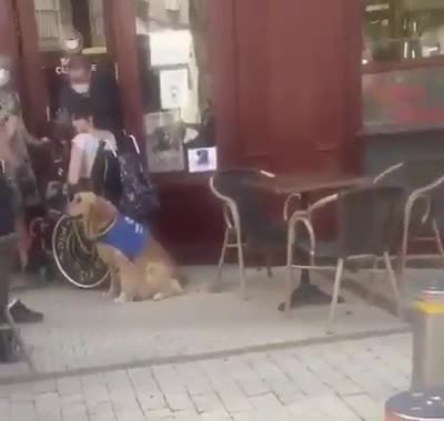 Il refuse l'entrée de son restaurant à une femme handicapée (Castres)