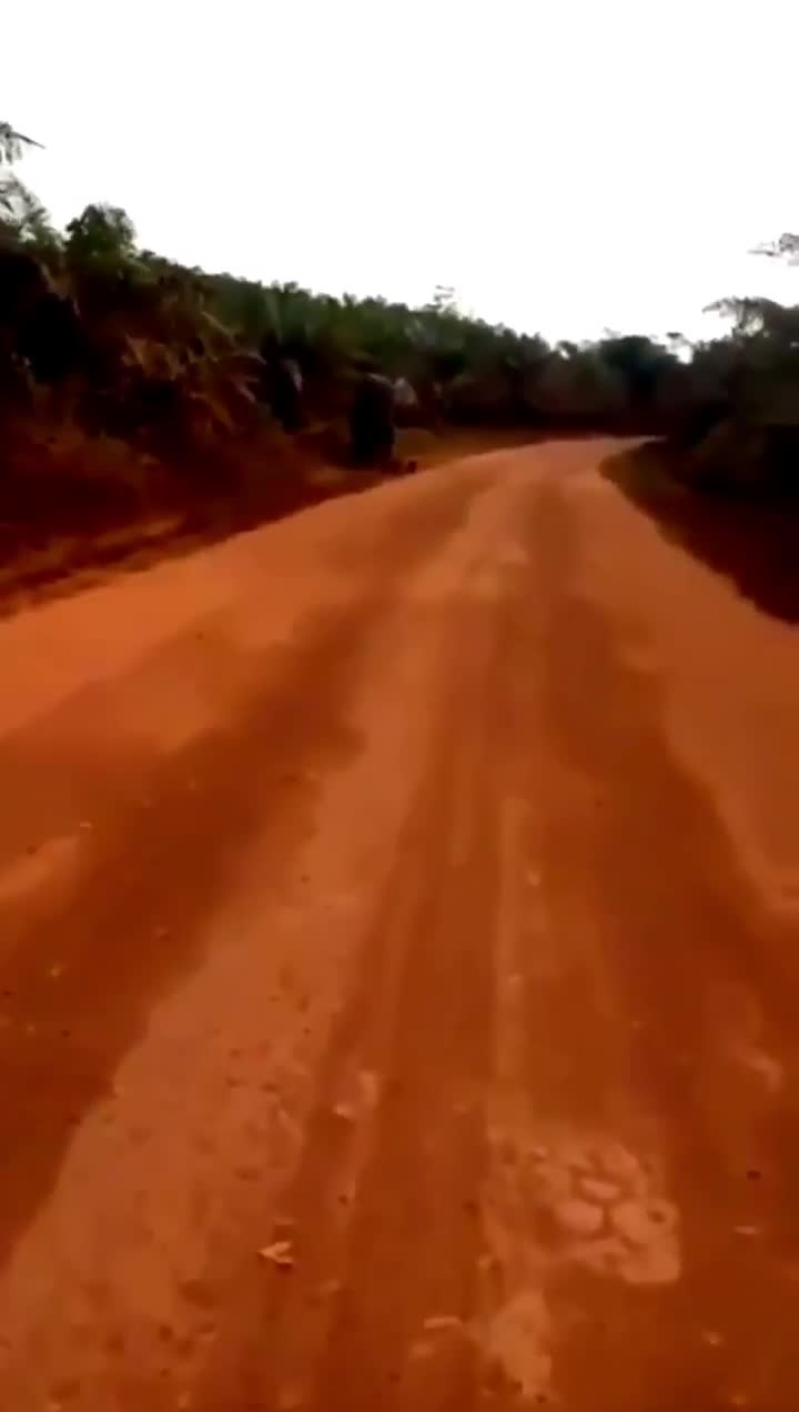 Une femme refuse de ramper pour échapper à un éléphant