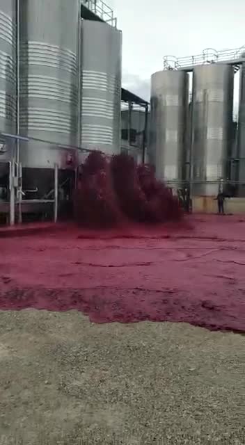 50 000 litres de vin tombent d’une cuve (Espagne)
