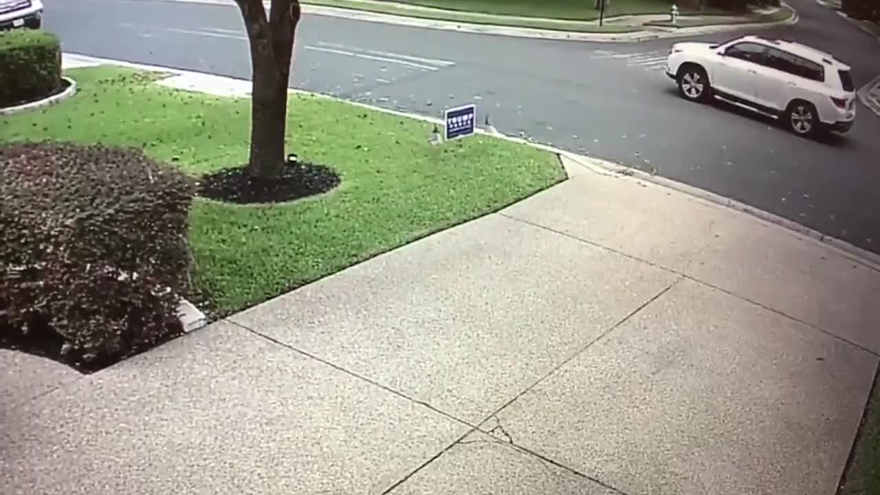 Une femme arrache une pancarte Trump 2020