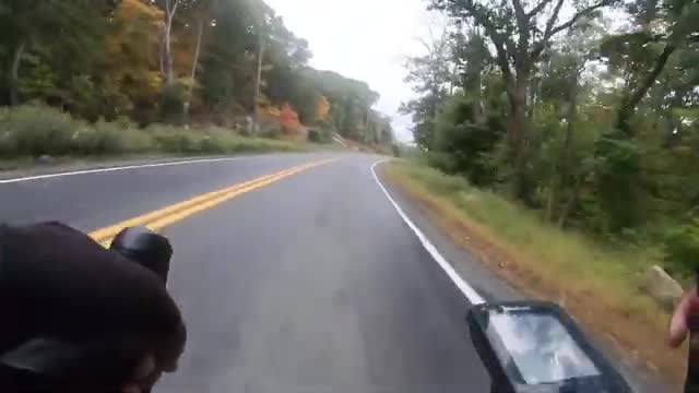 Une biche coupe la route à un cycliste