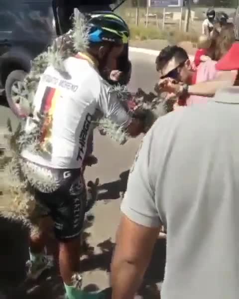 Un cycliste tombe sur un cactus (Mexique)