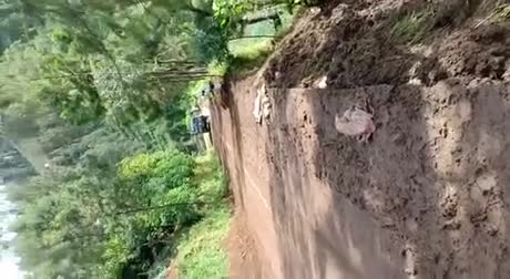 Un conducteur de camionnette fait une terrible chute sur une route de montagne (Indonésie)