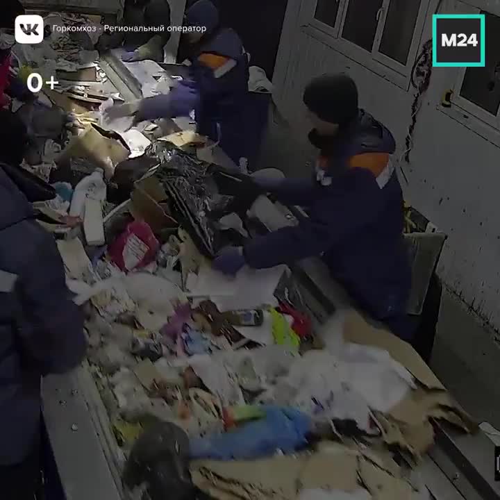 Un trieur de déchets trouve un chat jeté dans un sac poubelle et lui évite le broyeur (Russie)