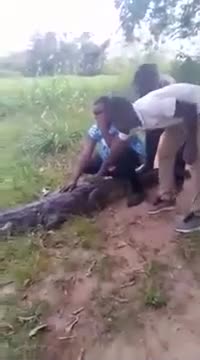 La mère de Régis se fait mordre en prenant un selfie avec un crocodile