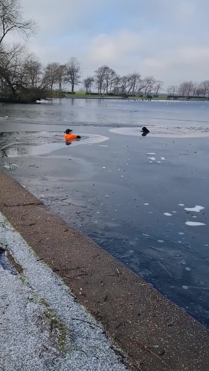 Un homme saute dans un lac gelé pour sauver un chien (Angleterre)