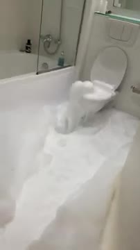Un homme à une éruption de mousse dans ses toilettes