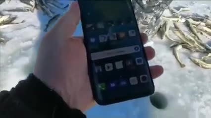 Il met son téléphone sous la glace pour vérifier que les poissons vont bien