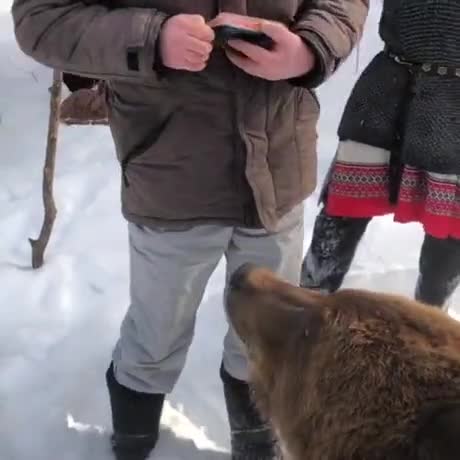 Un homme partage son repas avec un ours (Russie)