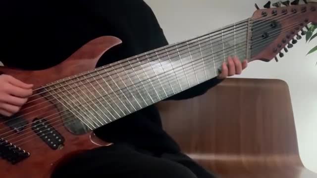 Il joue sur une guitare Ă 14 cordes