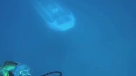 Un sous-marin passe au-dessous d'un plongeur