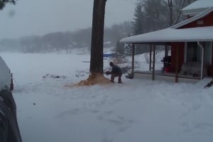 Régis coupe un arbre devant sa maison