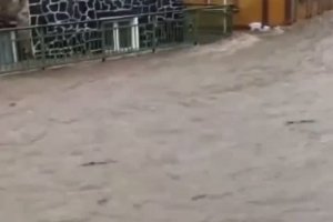 Des habitants aident un pompier pris dans les inondations (Allemagne)