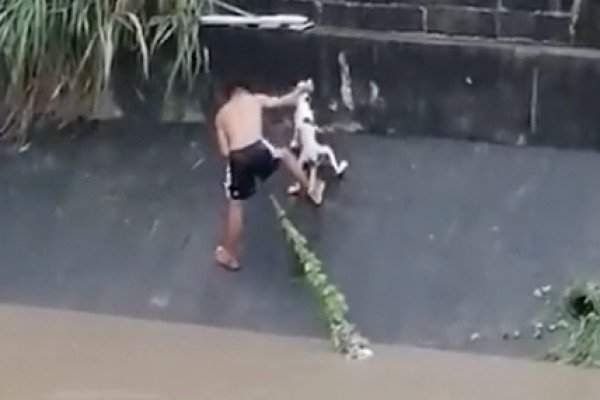 Un enfant sauve un chien pendant les inondations