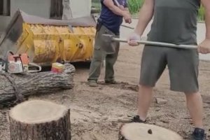 Comment couper des troncs d'arbre