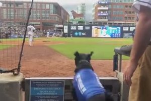 Ce chien est ramasseur de battes de baseball