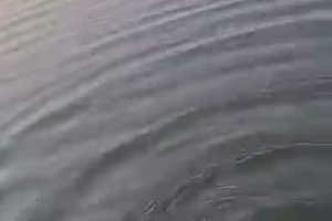 Un pĂŞcheur en kayak nourrit un serpent