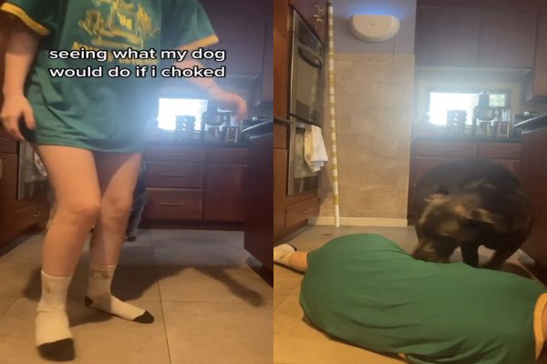 Une fille fait semblant de s'évanouir pour voir la réaction de son chien
