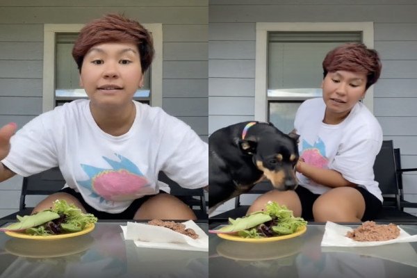 Une femme tente de prouver que son chien est végétarien
