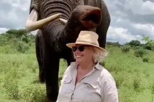 Un éléphant fait une blague à une touriste