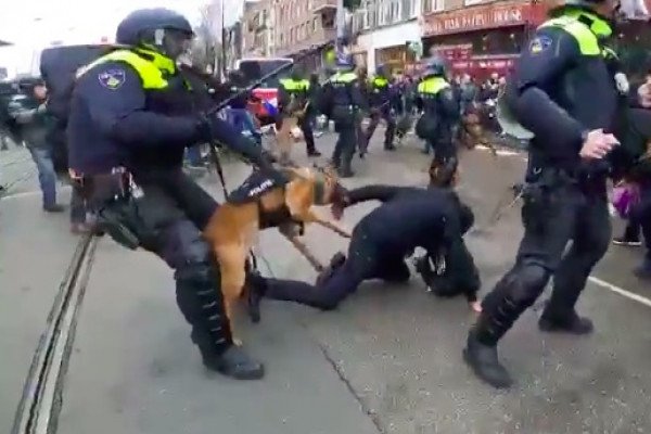 La police lâche les chiens sur les manifestants anti-confinement (Amsterdam)