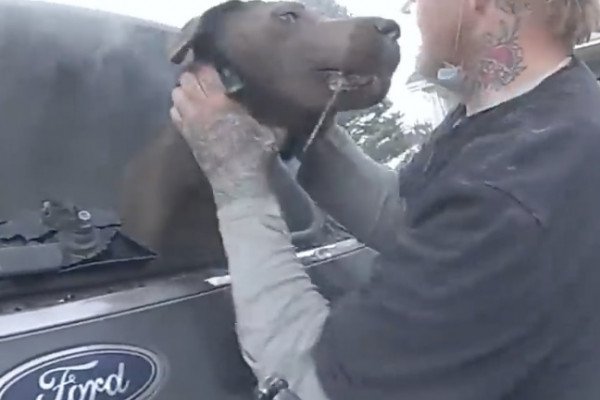 Un policier sauve un chien coincé dans une voiture en feu (États-Unis)