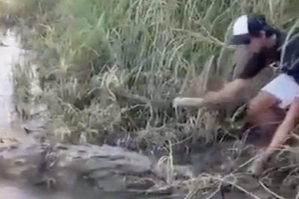 Un homme très mal face à un crocodile (Costa Rica)