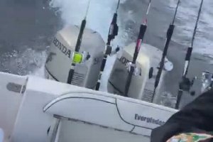 Une orque poursuit un bateau de pêche (Mexique)