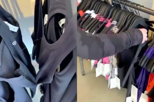 Une veuve noir fait son nid dans un magasin de vêtements
