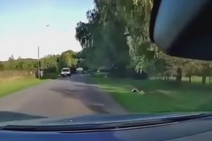 Un automobiliste polonais a une mauvaise surprise sur une route de campagne