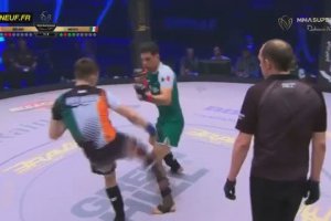 Un arbitre prend un pied perdu (MMA)