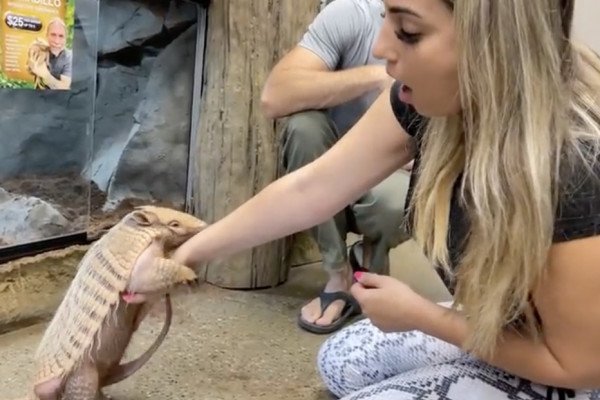 Une fille a beaucoup de succès avec un tatou